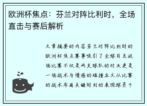 欧洲杯焦点：芬兰对阵比利时，全场直击与赛后解析