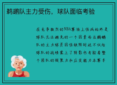 鹈鹕队主力受伤，球队面临考验